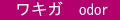 美容整形　わきが